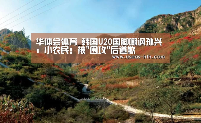 华体会体育_韩国U20国脚嘲讽孙兴慜:小农民!被围攻后道歉(图2) 华体会官方