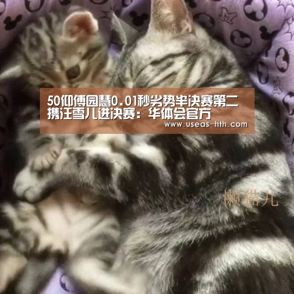 华体会体育