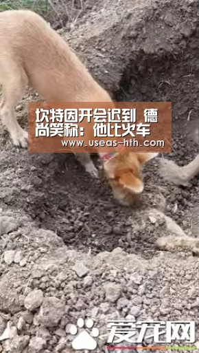 华体会体育